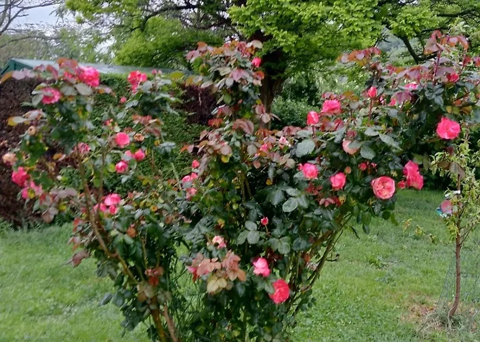 Holiday home 1 - Vicino Mare E Monti *